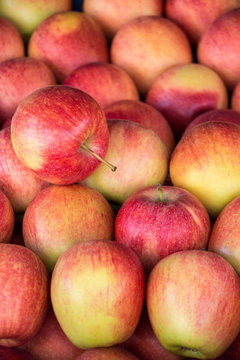 Colorful background of gala apples. - Image of Health & Fitness, Different Types of Diets