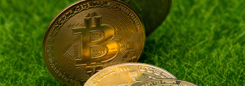 cryptocurrency golden coins - Bitcoin, Ethereum, Litecoin against a background of artificial green g