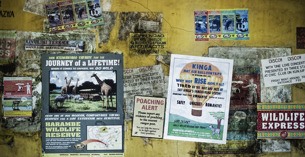 Journey of a Lifetime in Africa - Image of customer lifetime, customer lifetime value