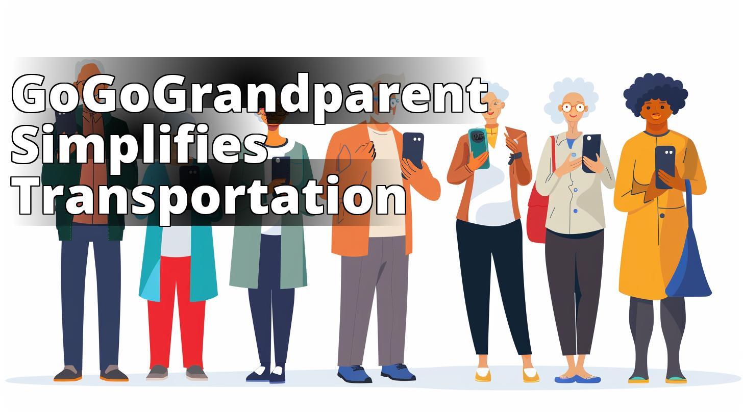 GoGoGrandparent Review