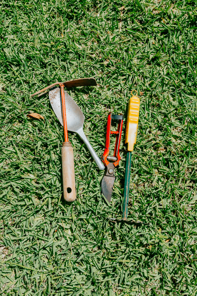 Revolutionizing Writing: The Power of Artificial Writing Tools